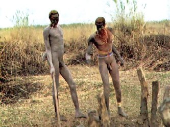 Real african tribes posing nude. Real wild life...