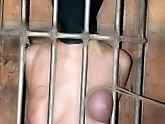 Cherry In a Cell